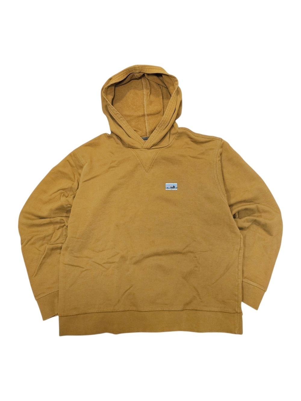 Patagonia Pullover Hoodie in Caramel Brown